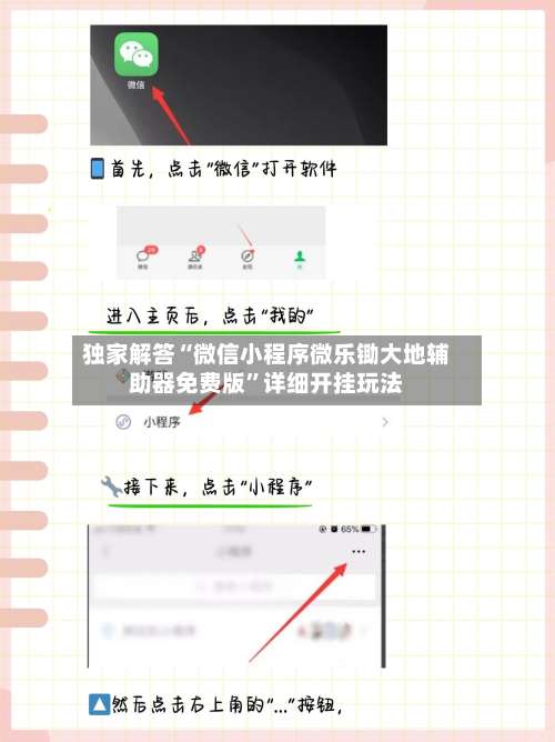 独家解答“微信小程序微乐锄大地辅助器免费版”详细开挂玩法-第1张图片