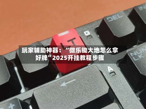 玩家辅助神器：“微乐锄大地怎么拿好牌	”2025开挂教程步骤-第2张图片