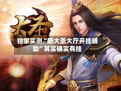 独家实测“新大圣大厅开挂辅助”其实确实有挂-第1张图片