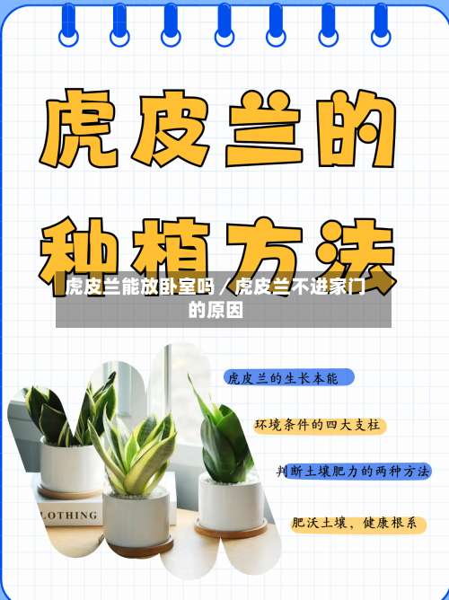 虎皮兰能放卧室吗／虎皮兰不进家门的原因-第1张图片