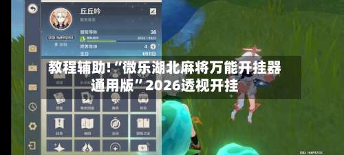 教程辅助!“微乐湖北麻将万能开挂器通用版”2026透视开挂-第1张图片