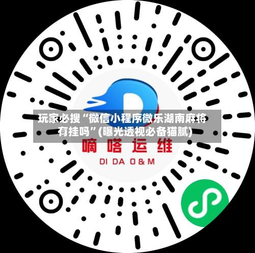 玩家必搜“微信小程序微乐湖南麻将有挂吗	”(曝光透视必备猫腻)-第3张图片