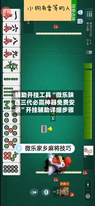 辅助开挂工具“微乐陕西三代必赢神器免费安装”开挂辅助详细步骤-第1张图片