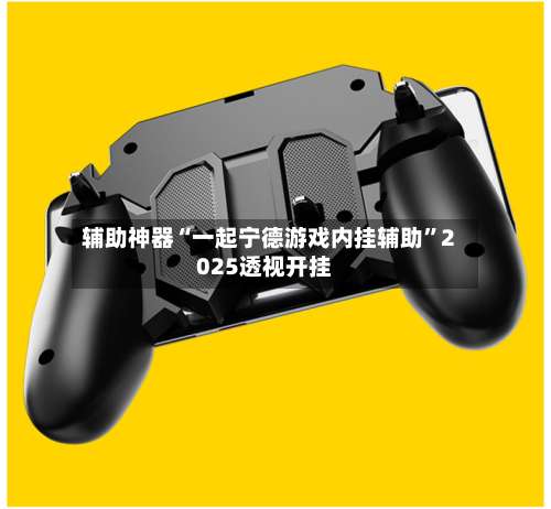 辅助神器“一起宁德游戏内挂辅助”2025透视开挂-第1张图片