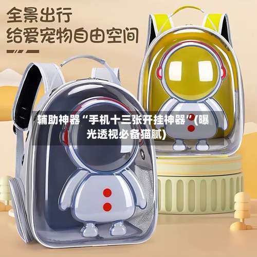 辅助神器“手机十三张开挂神器	”(曝光透视必备猫腻)-第1张图片