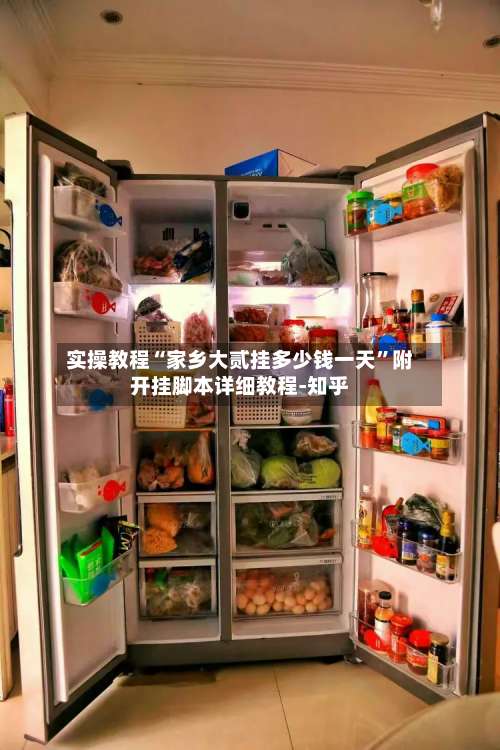 实操教程“家乡大贰挂多少钱一天	”附开挂脚本详细教程-知乎-第2张图片