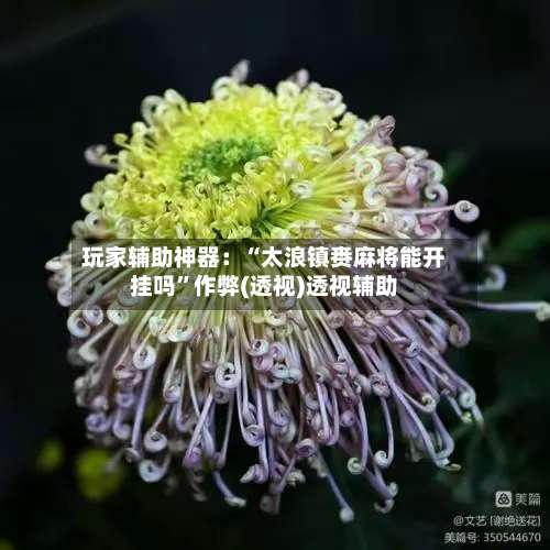 玩家辅助神器：“太浪镇赉麻将能开挂吗”作弊(透视)透视辅助-第3张图片