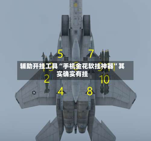 辅助开挂工具“手机金花软挂神器”其实确实有挂-第2张图片