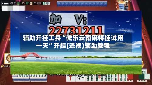 辅助开挂工具“微乐云南麻将挂试用一天”开挂(透视)辅助教程-第1张图片