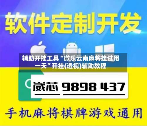 辅助开挂工具“微乐云南麻将挂试用一天”开挂(透视)辅助教程-第2张图片