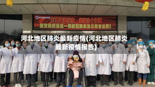 河北地区肺炎最新疫情(河北地区肺炎最新疫情报告)-第2张图片