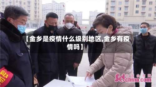 【金乡是疫情什么级别地区,金乡有疫情吗】-第3张图片