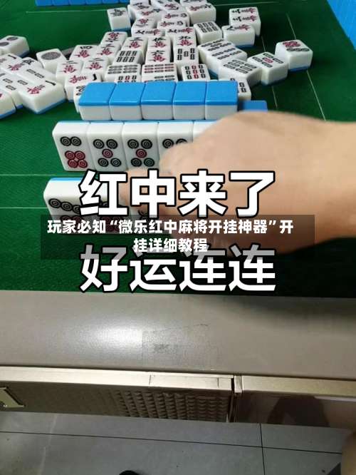 玩家必知“微乐红中麻将开挂神器”开挂详细教程-第2张图片