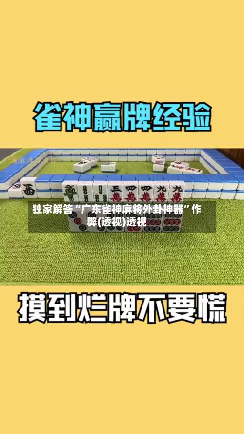独家解答“广东雀神麻将外卦神器”作弊(透视)透视-第3张图片