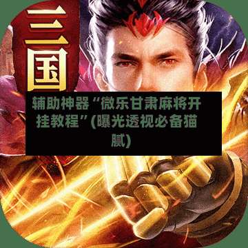 辅助神器“微乐甘肃麻将开挂教程”(曝光透视必备猫腻)-第3张图片