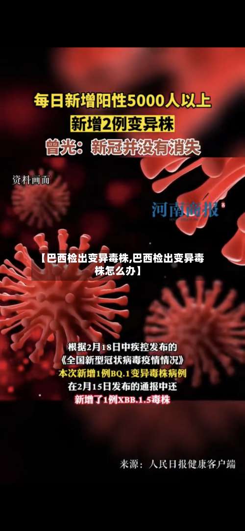 【巴西检出变异毒株,巴西检出变异毒株怎么办】-第2张图片