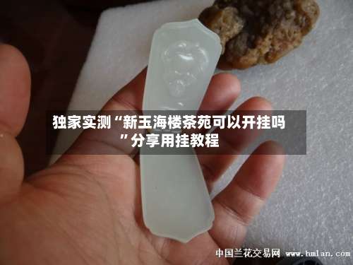 独家实测“新玉海楼茶苑可以开挂吗	”分享用挂教程-第2张图片