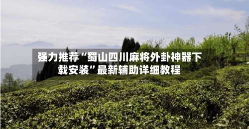 强力推荐“蜀山四川麻将外卦神器下载安装”最新辅助详细教程-第2张图片