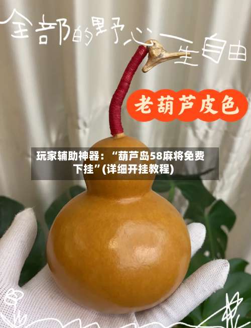 玩家辅助神器：“葫芦岛58麻将免费下挂	”(详细开挂教程)-第1张图片