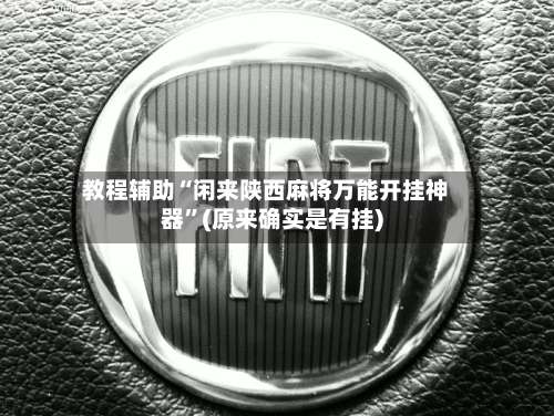 教程辅助“闲来陕西麻将万能开挂神器	”(原来确实是有挂)-第1张图片