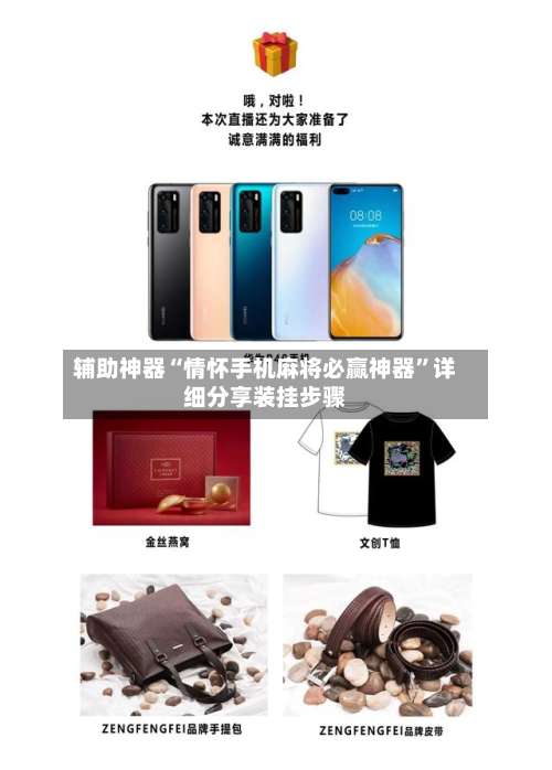 辅助神器“情怀手机麻将必赢神器”详细分享装挂步骤-第3张图片