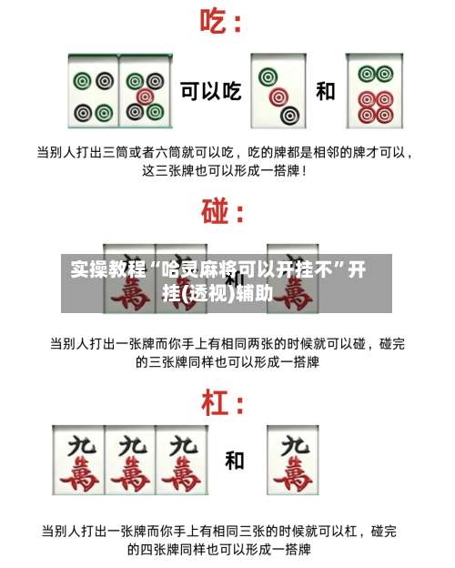 实操教程“哈灵麻将可以开挂不”开挂(透视)辅助-第1张图片