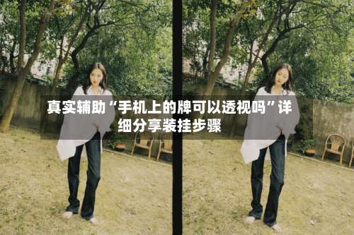 真实辅助“手机上的牌可以透视吗”详细分享装挂步骤-第3张图片