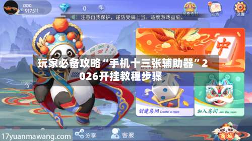 玩家必备攻略“手机十三张辅助器”2026开挂教程步骤-第2张图片