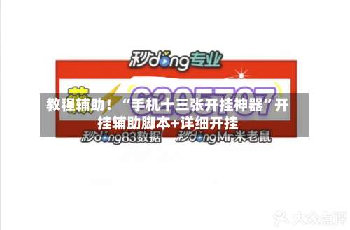 教程辅助！“手机十三张开挂神器	”开挂辅助脚本+详细开挂-第1张图片