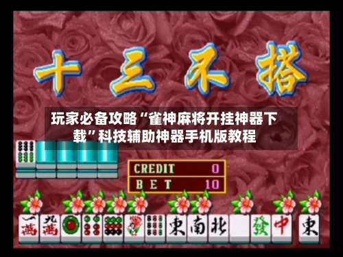 玩家必备攻略“雀神麻将开挂神器下载	”科技辅助神器手机版教程-第2张图片