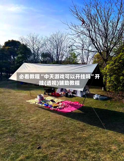 必看教程“中天游戏可以开挂吗	”开挂(透视)辅助教程-第2张图片