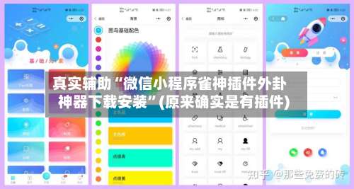 真实辅助“微信小程序雀神插件外卦神器下载安装	”(原来确实是有插件)-第1张图片