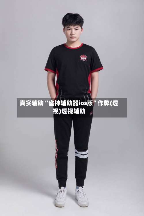 真实辅助“雀神辅助器ios版”作弊(透视)透视辅助-第2张图片