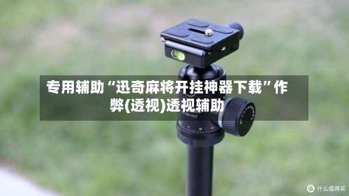 专用辅助“迅奇麻将开挂神器下载”作弊(透视)透视辅助-第1张图片