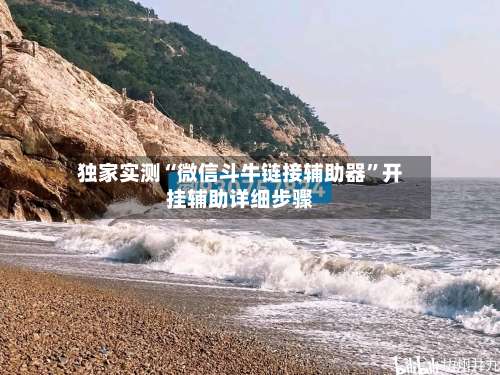 独家实测“微信斗牛链接辅助器”开挂辅助详细步骤-第2张图片