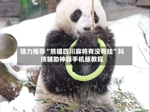 强力推荐“熊猫四川麻将有没有挂	”科技辅助神器手机版教程-第1张图片