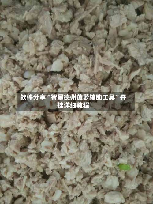 软件分享“智星德州菠萝辅助工具	”开挂详细教程-第3张图片