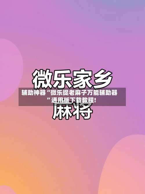 辅助神器“微乐捉老麻子万能辅助器	”通用版下载教程!-第3张图片