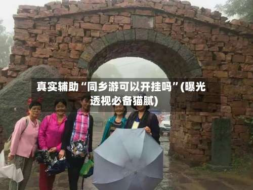 真实辅助“同乡游可以开挂吗”(曝光透视必备猫腻)-第1张图片