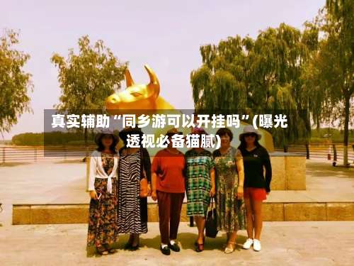 真实辅助“同乡游可以开挂吗”(曝光透视必备猫腻)-第3张图片