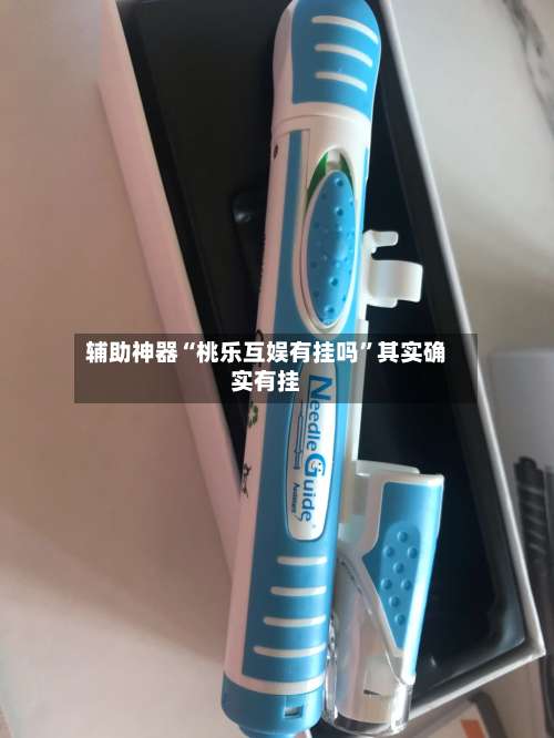 辅助神器“桃乐互娱有挂吗”其实确实有挂-第2张图片