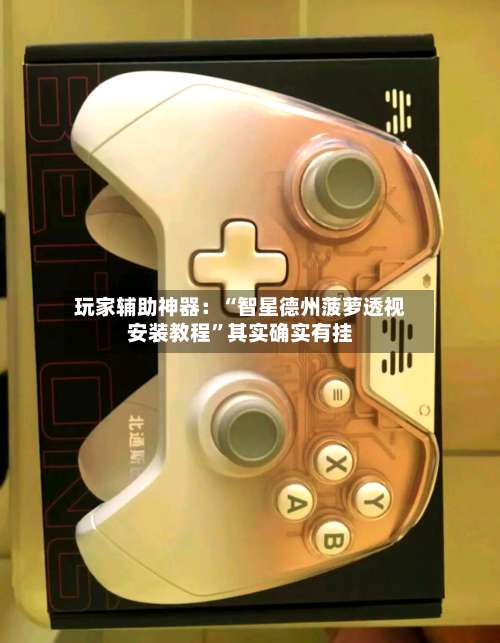 玩家辅助神器：“智星德州菠萝透视安装教程”其实确实有挂-第2张图片