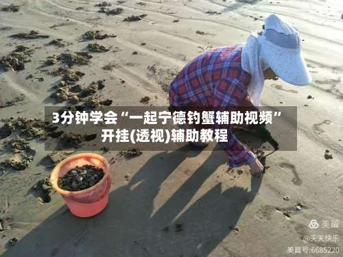 3分钟学会“一起宁德钓蟹辅助视频	”开挂(透视)辅助教程-第1张图片