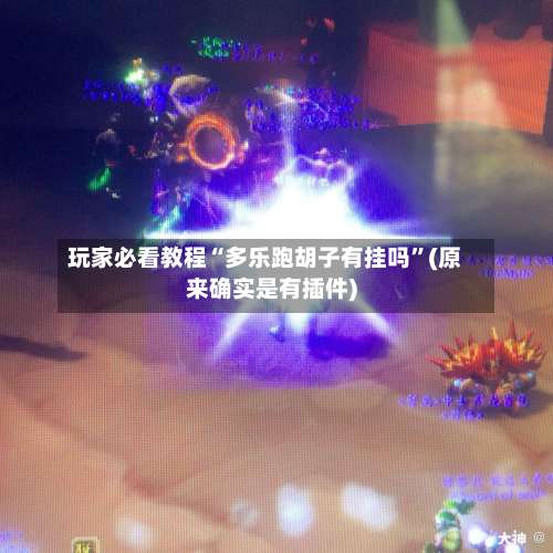 玩家必看教程“多乐跑胡子有挂吗	”(原来确实是有插件)-第2张图片