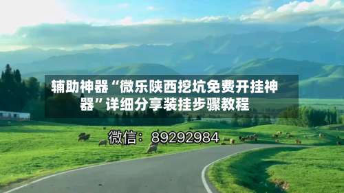 辅助神器“微乐陕西挖坑免费开挂神器	”详细分享装挂步骤教程-第3张图片