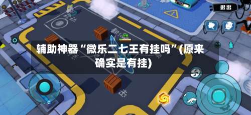 辅助神器“微乐二七王有挂吗”(原来确实是有挂)-第2张图片