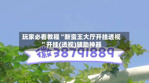 玩家必看教程“新蛮王大厅开挂透视”开挂(透视)辅助神器-第1张图片