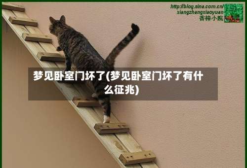 梦见卧室门坏了(梦见卧室门坏了有什么征兆)-第2张图片