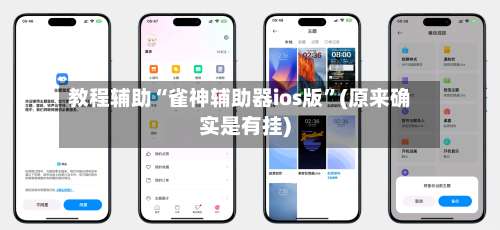 教程辅助“雀神辅助器ios版”(原来确实是有挂)-第3张图片