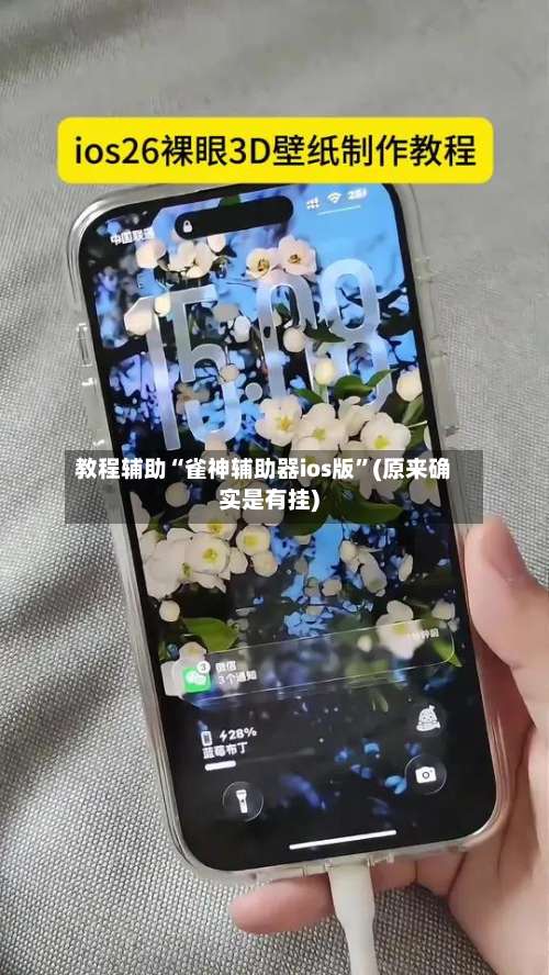 教程辅助“雀神辅助器ios版”(原来确实是有挂)-第2张图片